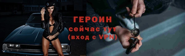 сатива Бородино