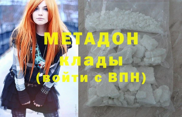 сатива Бородино