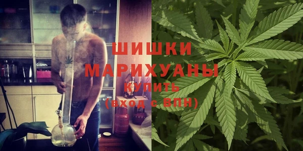 сатива Бородино