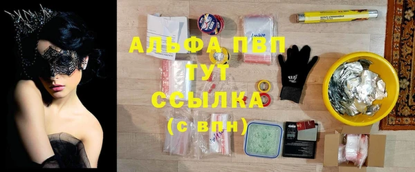сатива Бородино